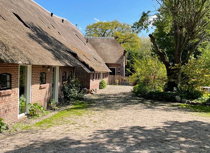 Unterkunft 170213 - Ferienhaus Midden Drenthe - Vakantiehuis in Zwiggelte