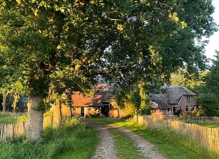 Unterkunft 170213 - Ferienhaus Midden Drenthe - Vakantiehuis in Zwiggelte