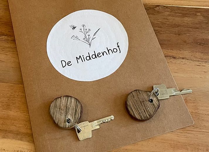 Unterkunft 170213 - Ferienhaus Midden Drenthe - Vakantiehuis in Zwiggelte
