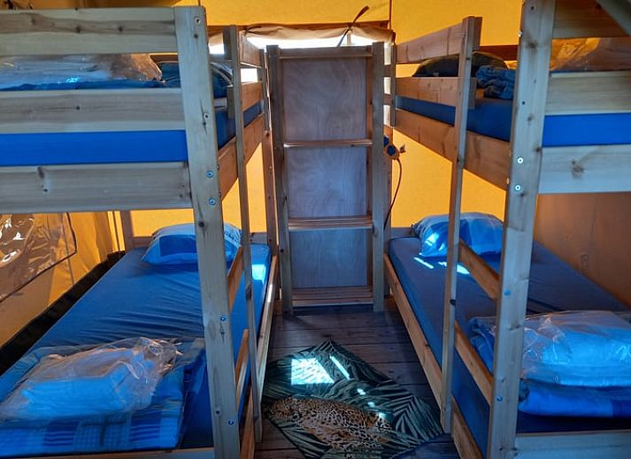 Verblijf 170223 - Vakantiewoning Midden Drenthe - Vakantiehuisje in Zwiggelte