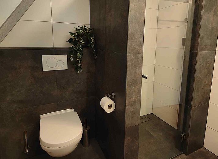 Moderne badkamer in vakantiehuis DG1609, Hoogersmilde, Midden Drenthe, met stijlvolle douche en toilet.