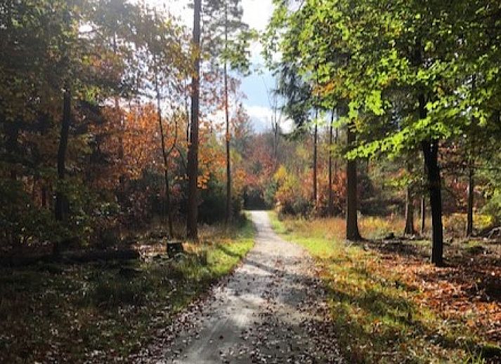 DG1639 vakantiehuis in Hoogersmilde, Drenthe met zonnig terras en tuin.