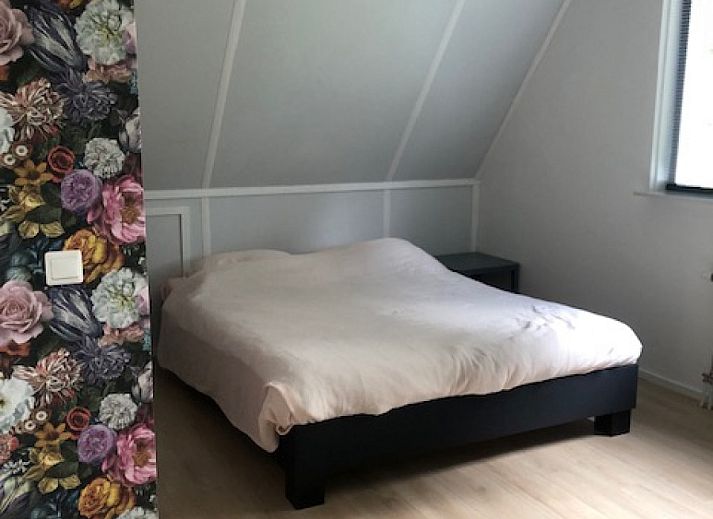 Vooraanzicht van DG1639 vakantiehuis in Hoogersmilde, omringd door natuur.