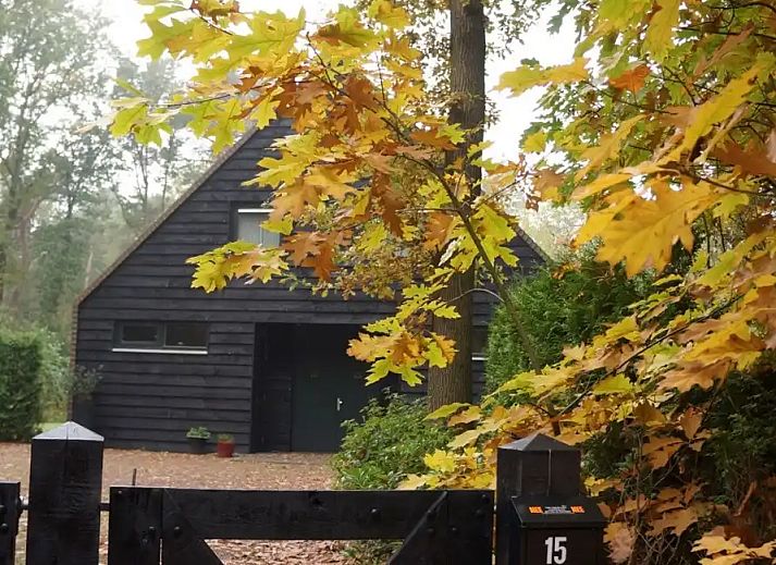 Unterkunft 170309 - Ferienhaus Midden Drenthe - It Bosk