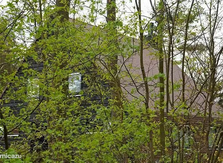 Unterkunft 170309 - Ferienhaus Midden Drenthe - It Bosk