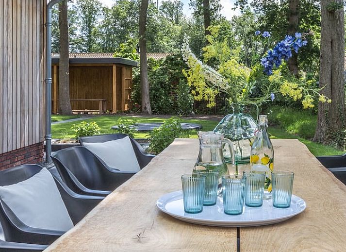 Unterkunft 170315 - Ferienhaus Midden Drenthe - Vakantiehuisje in Hoogersmilde
