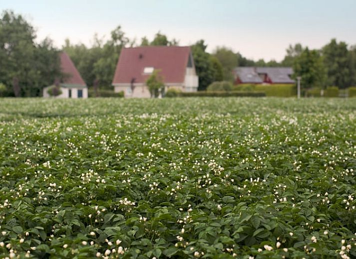 Gemuetliches Wohnzimmer des Ferienhauses in Schoonloo, Midden Drenthe, mit moderner Einrichtung und komfortabler Sitzecke.
