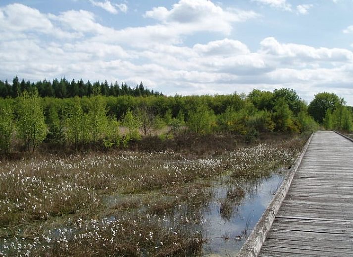 Gemuetliches Schlafzimmer im Ferienhaus in Schoonloo, Midden Drenthe. Geniessen Sie Komfort und Ruhe in diesem gemuetlichen Ferienhaus in Drenthe.
