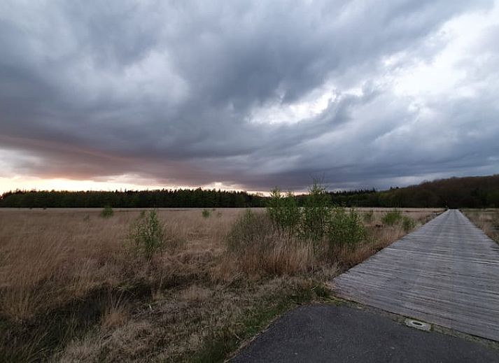 Unterkunft 170409 - Ferienhaus Midden Drenthe - Vakantiehuisje in Schoonloo