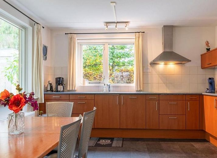 Gezellige tuin bij Vakantiehuis in Schoonloo, Midden Drenthe, met terras en groen.