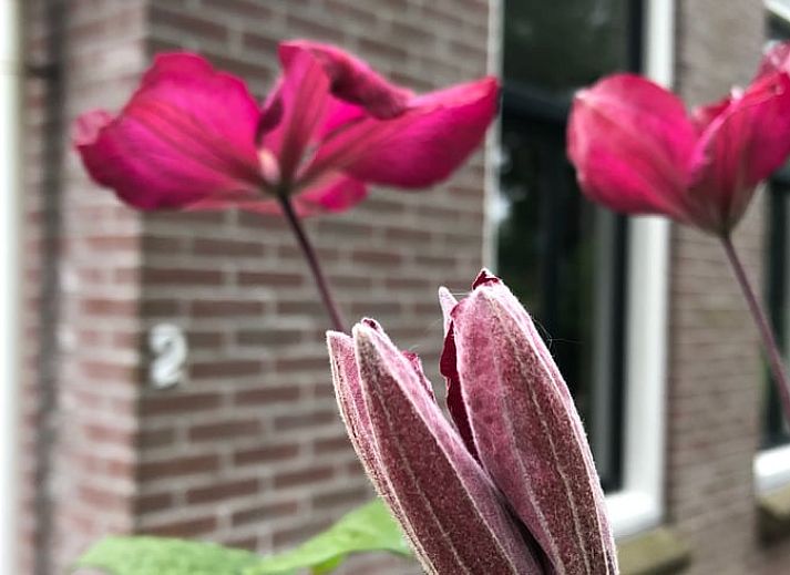 Unterkunft 170426 - Ferienhaus Midden Drenthe - Vakantiehuis in Schoonloo
