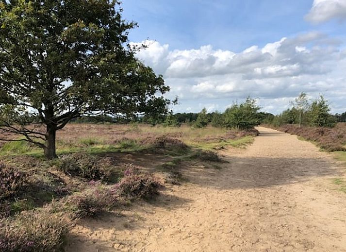 Unterkunft 170426 - Ferienhaus Midden Drenthe - Vakantiehuis in Schoonloo