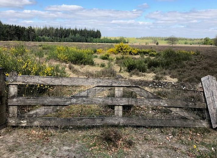 Unterkunft 170426 - Ferienhaus Midden Drenthe - Vakantiehuis in Schoonloo