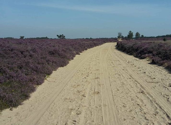 Unterkunft 170426 - Ferienhaus Midden Drenthe - Vakantiehuis in Schoonloo