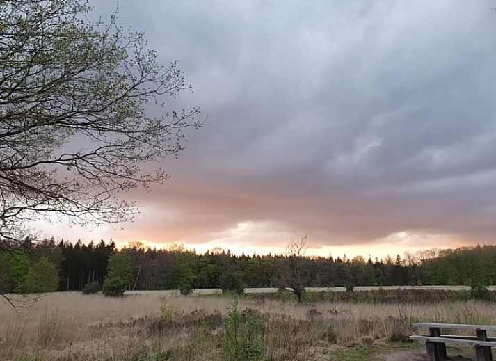 Unterkunft 170426 - Ferienhaus Midden Drenthe - Vakantiehuis in Schoonloo
