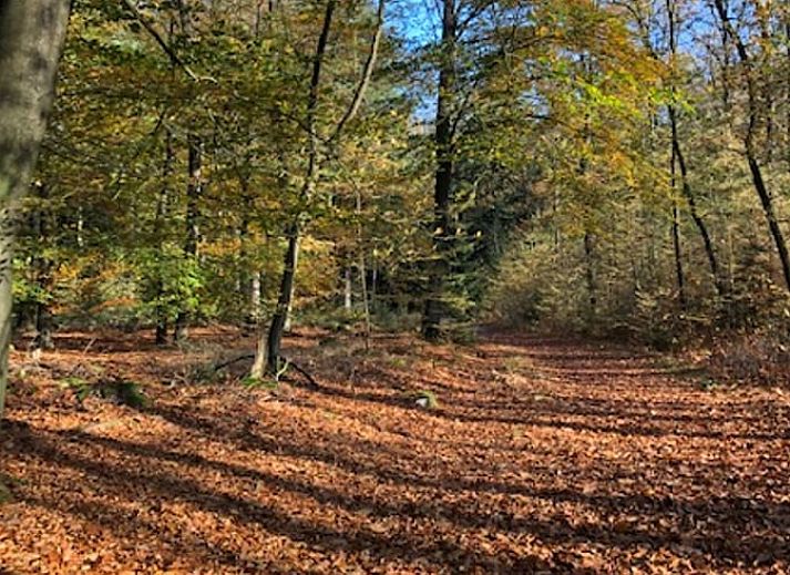 Unterkunft 170426 - Ferienhaus Midden Drenthe - Vakantiehuis in Schoonloo