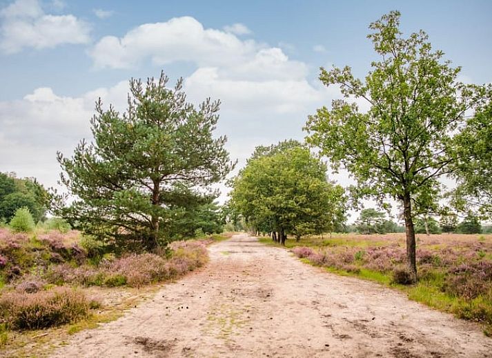 Gezellige woonkamer in Vakantiehuisje in Schoonloo, Drenthe met comfortabele zithoek en natuurlijk licht, ideaal voor een ontspannen verblijf.