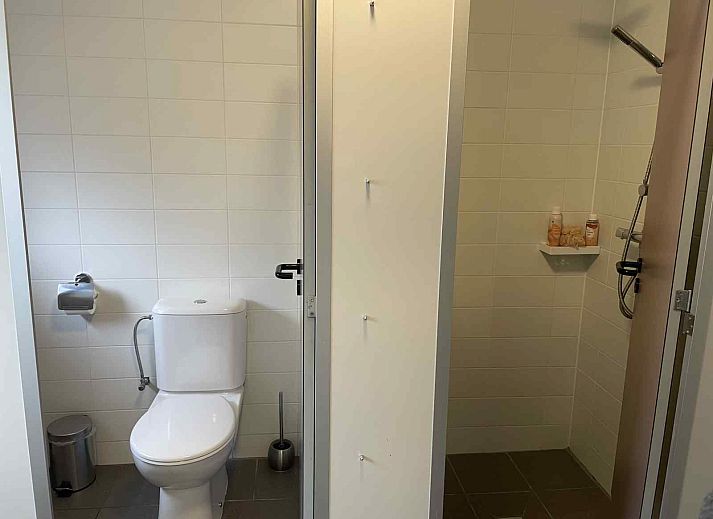 DG410 vacation home in Schoonloo, Drenthe with a spacious backyard and play equipment for children.