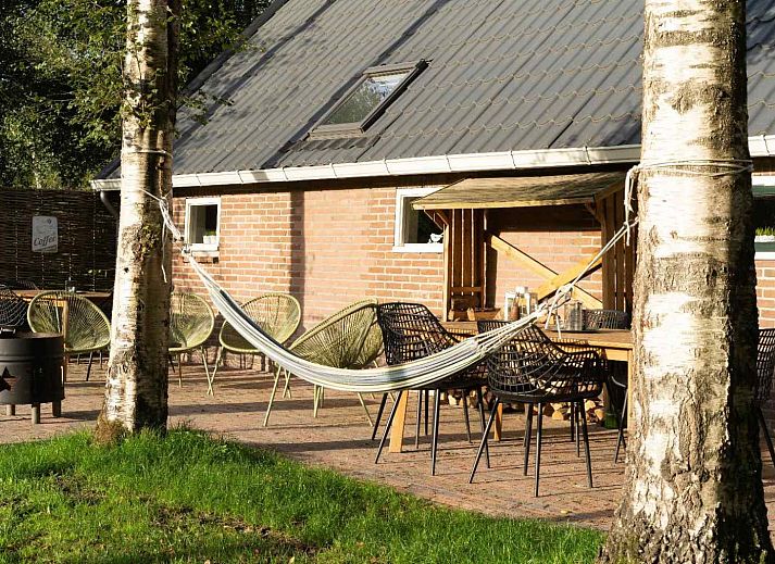 Cozy farm animals at DG410 vacation home in Schoonloo, Drenthe, ideal for a rural experience.