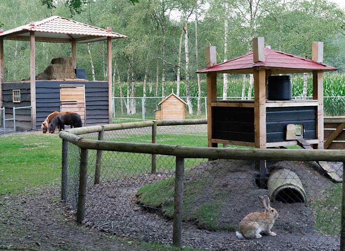 Kinder spielen am Badesee beim Ferienhaus DG988 in Schoonloo, Drenthe.