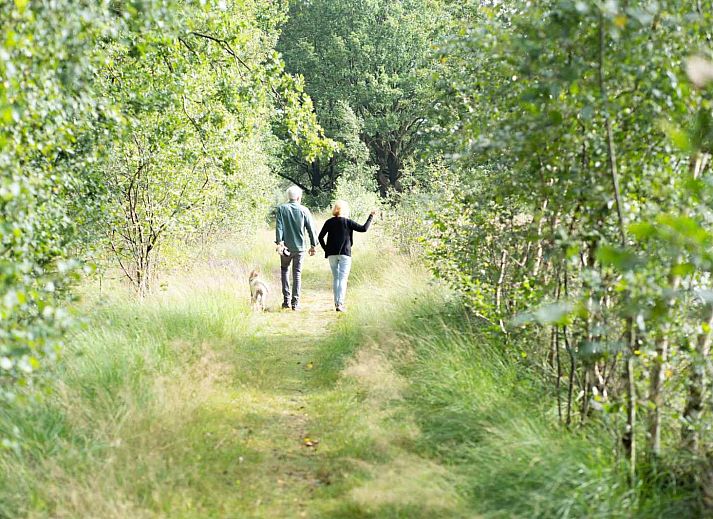 Veranda van vakantiehuis DG1430 in Schoonloo, Midden Drenthe, met comfortabele zitplaatsen omgeven door groen.