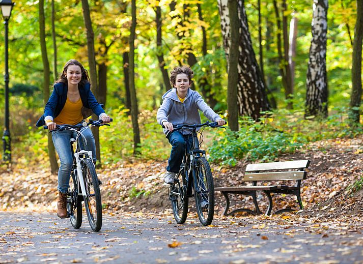 Veranda van vakantiehuis DG1430 in Schoonloo, Midden Drenthe, met comfortabele zitplaatsen omgeven door groen.