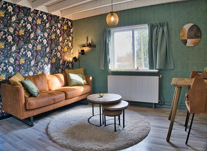 Gezellige woonkamer van DG1430 Schoonloo, Drenthe, met stijlvolle inrichting en veel natuurlijk licht.