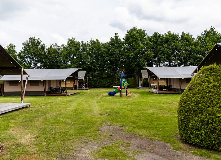 Verblijf 170442 - Tenthuis Midden Drenthe - Safaritent