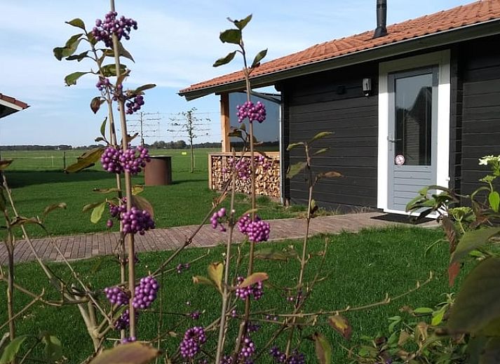 Verblijf 170606 • Vakantiewoning Midden Drenthe • Vakantiehuisje in Beilen