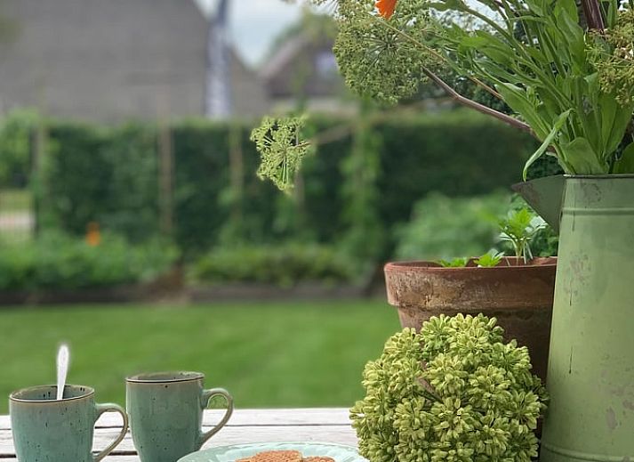 Charmant vakantiehuis in Beilen, Midden Drenthe met rieten dak en groene tuin.