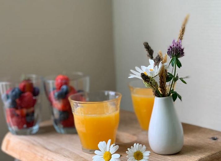 Vakantiehuis in Beilen, Midden Drenthe met terras en herfstige tuin.