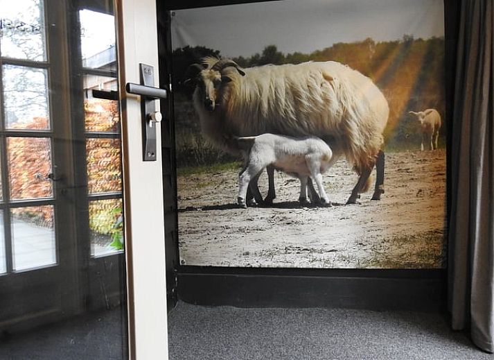Vakantiehuis in Beilen, Midden Drenthe met terras en herfstige tuin.