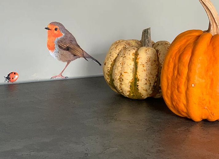 B&B gevel van Vakantiehuis in Beilen, Midden Drenthe met bloemenbakken.