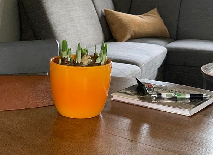 B&B gevel van Vakantiehuis in Beilen, Midden Drenthe met bloemenbakken.