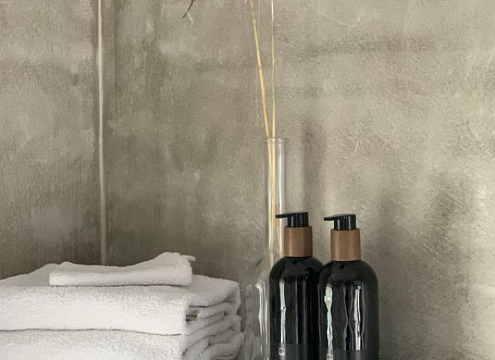 Luchtfoto van Vakantiehuis in Beilen, Midden Drenthe met ruime tuin.