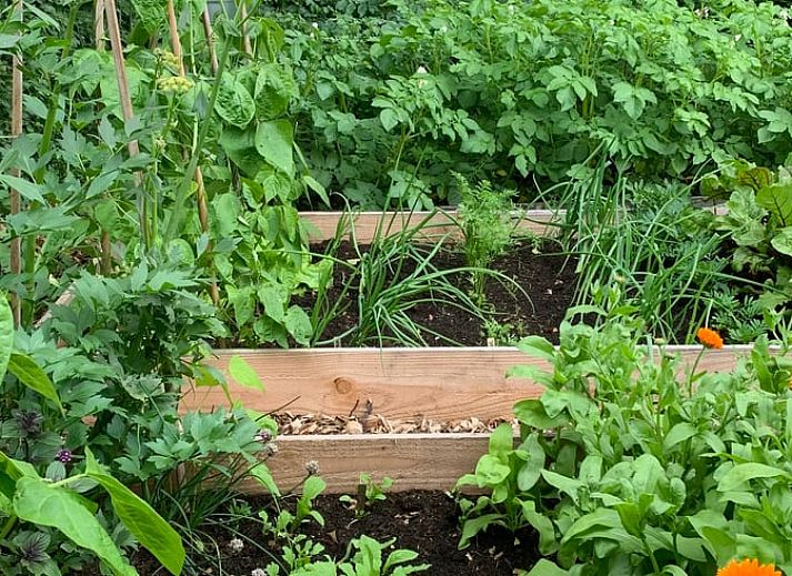 Luchtfoto van Vakantiehuis in Beilen, Midden Drenthe met ruime tuin.