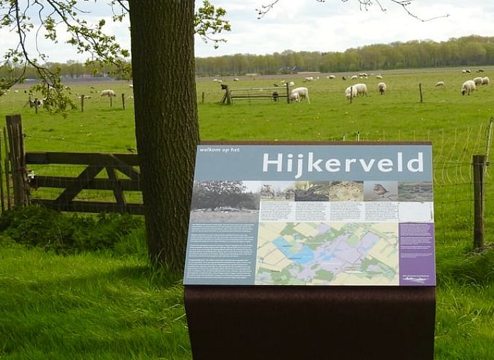 Comfortabele zithoek in Vakantiehuis in Beilen, Midden Drenthe met moderne inrichting.