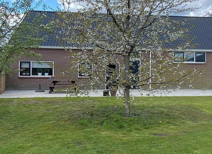 Ferienhaus in Beilen, Zentral-Drenthe, mit gemuetlichem Vorgarten und Bank zum Entspannen.