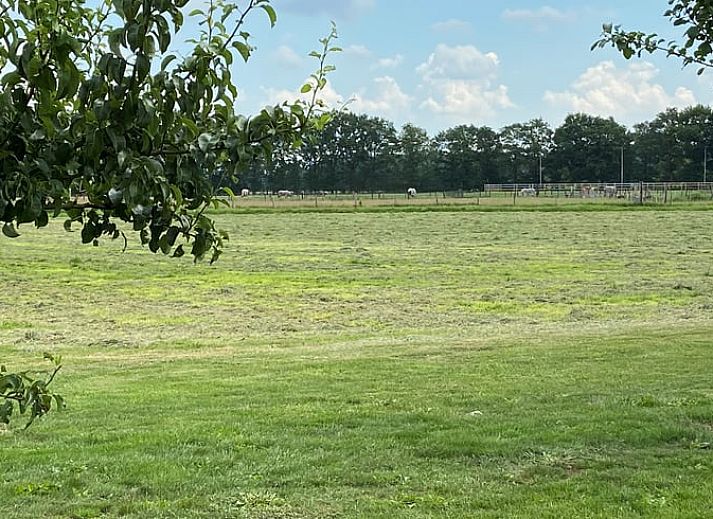 Terrasse mit Sonnenschirm im Ferienhaus in Beilen, Zentral-Drenthe, ideal fuer Mahlzeiten im Freien.
