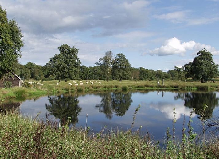 Terras van Vakantiehuisje in Beilen met comfortabele stoelen, Midden Drenthe, Drenthe.