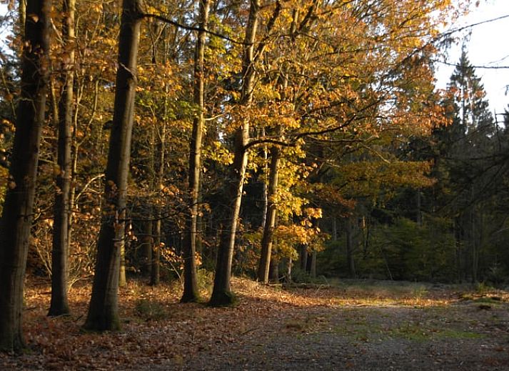 Gezellige binnenruimte van Vakantiehuisje in Beilen met keuken, Midden Drenthe, Drenthe.