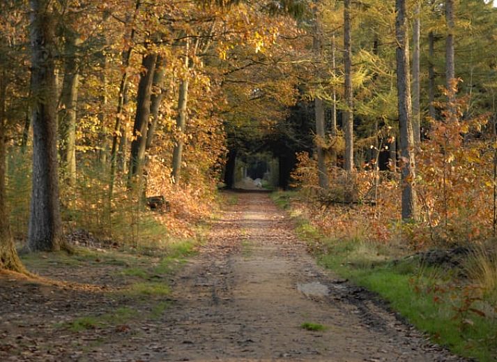 Gezellige binnenruimte van Vakantiehuisje in Beilen met keuken, Midden Drenthe, Drenthe.