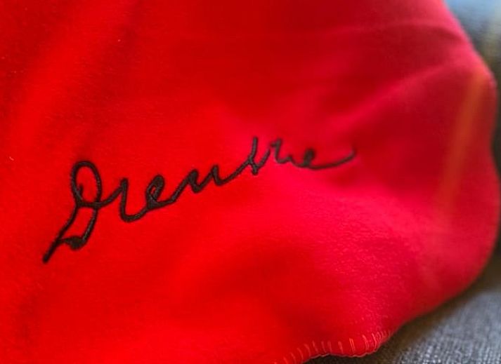 Unterkunft 170705 - Ferienhaus Midden Drenthe - Vakantiehuisje in Grolloo