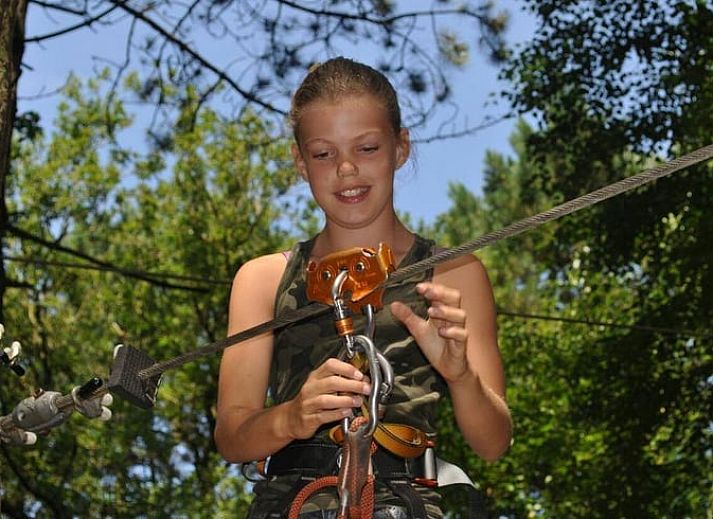 Unterkunft 170705 - Ferienhaus Midden Drenthe - Vakantiehuisje in Grolloo