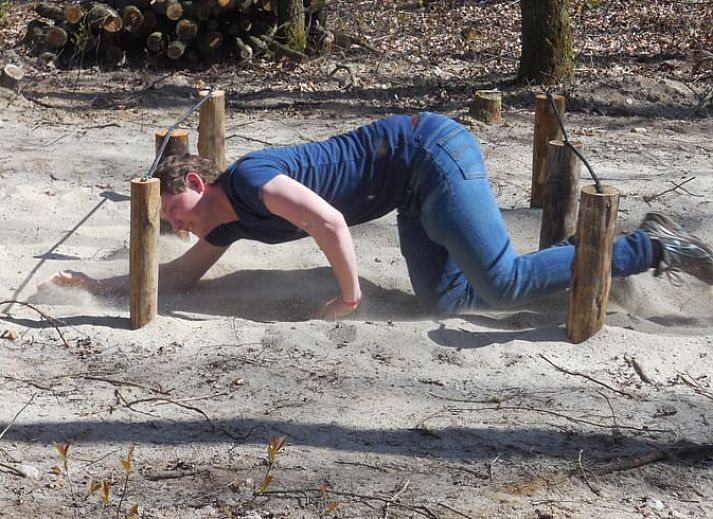 Unterkunft 170705 - Ferienhaus Midden Drenthe - Vakantiehuisje in Grolloo