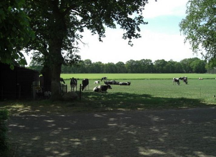 Unterkunft 170903 - Ferienhaus Midden Drenthe - De Schaapskooi