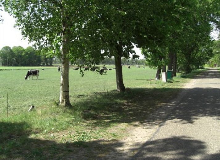 Unterkunft 170903 - Ferienhaus Midden Drenthe - De Schaapskooi