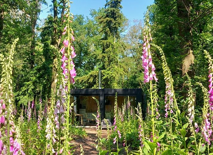 Das Ferienhaus in Drijber, das in den Waeldern von Zentral-Drenthe liegt, bietet eine ruhige Urlaubsumgebung.