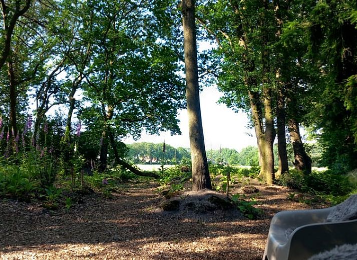 Ferienhaus in Drijber umgeben von bunten Blumen in Zentral-Drenthe fuer einen erholsamen Urlaub.