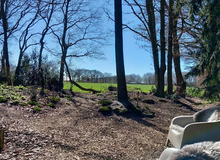 Gemuetliche Sitzecke im Ferienhaus in Drijber, Zentral-Drenthe, mit Blick auf den Wald fuer einen entspannten Aufenthalt.